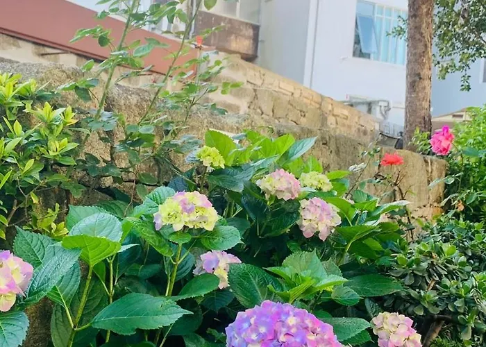Invicta Porto Guest House